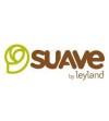 Suave by Layland